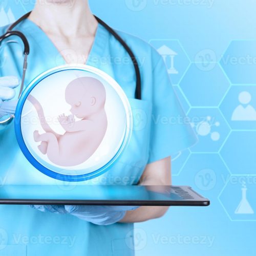 Women’s Health & Obstetrics img2